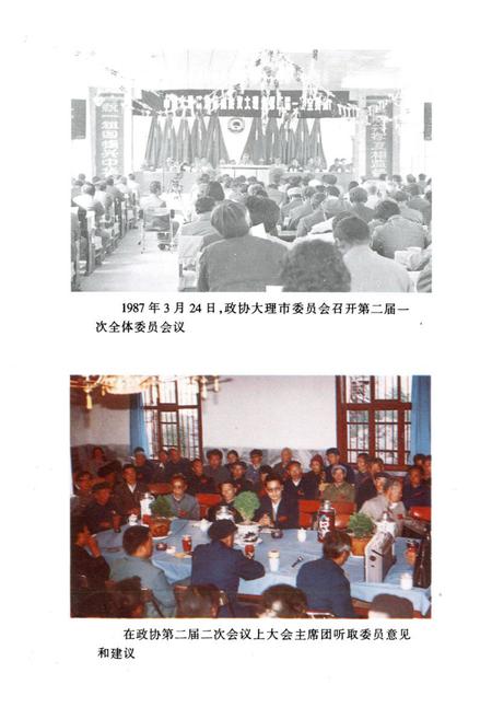 《大理市政协志(1950-1995)》.pdf_云南省志插图4