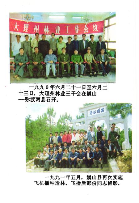 《巍山彝族回族自治县林业志》.pdf_云南省志插图4