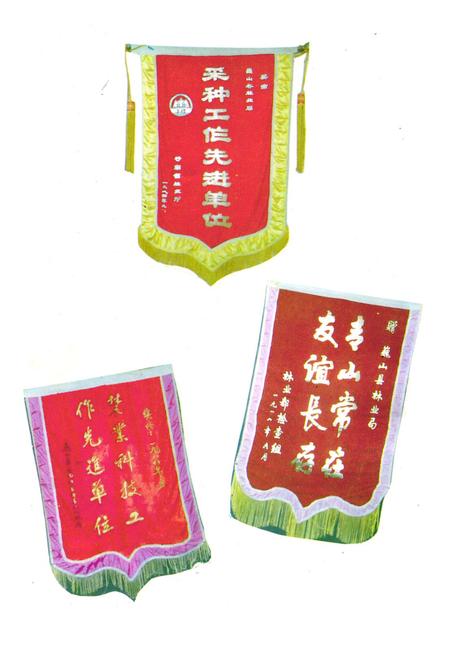 《巍山彝族回族自治县林业志》.pdf_云南省志插图5