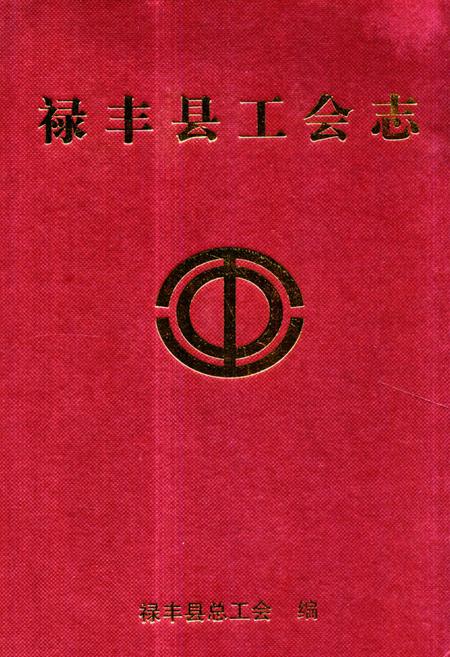 《禄丰县工会志》.pdf_云南省志