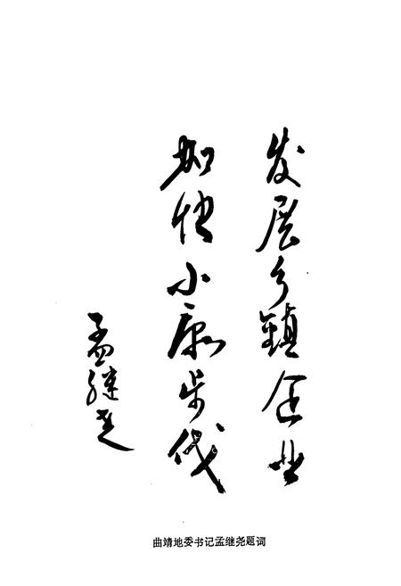 《《曲靖地区乡镇企业志》》.pdf_云南省志插图3