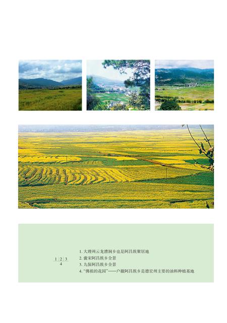 《当代云南阿昌族简史》.pdf_云南省志插图2