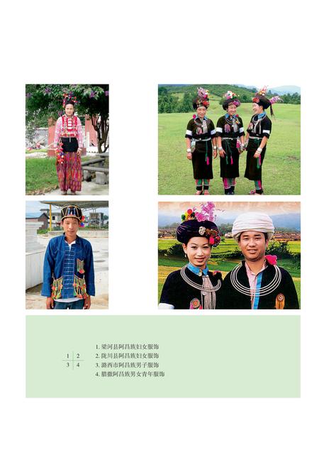 《当代云南阿昌族简史》.pdf_云南省志插图4