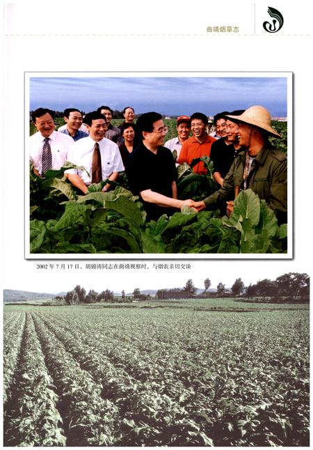 《曲靖烟草志》.pdf_云南省志插图4