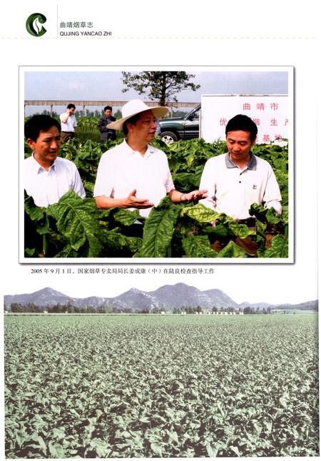《曲靖烟草志》.pdf_云南省志插图5