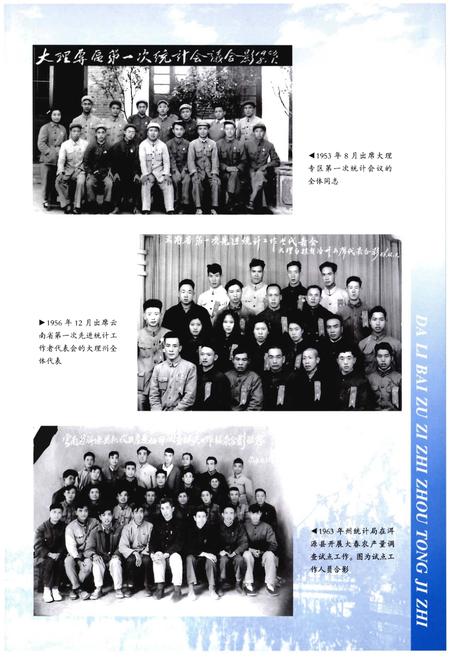 《大理白族自治州统计志（1）》.pdf_云南省志插图4