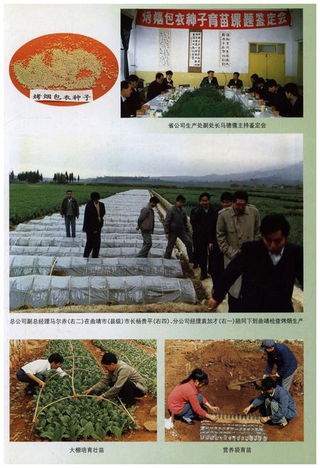 《曲靖地区烟草志》.pdf_云南省志插图5