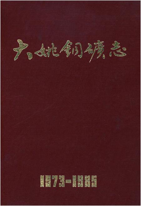 《大姚铜矿志1973-1985》.pdf_云南省志