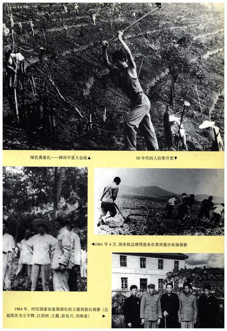 《西双版纳农垦志》.pdf_云南省志插图4