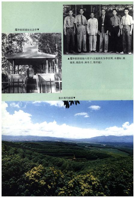《西双版纳农垦志》.pdf_云南省志插图5