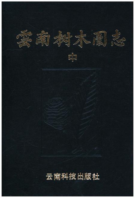 《云南树木图志》.pdf_云南省志