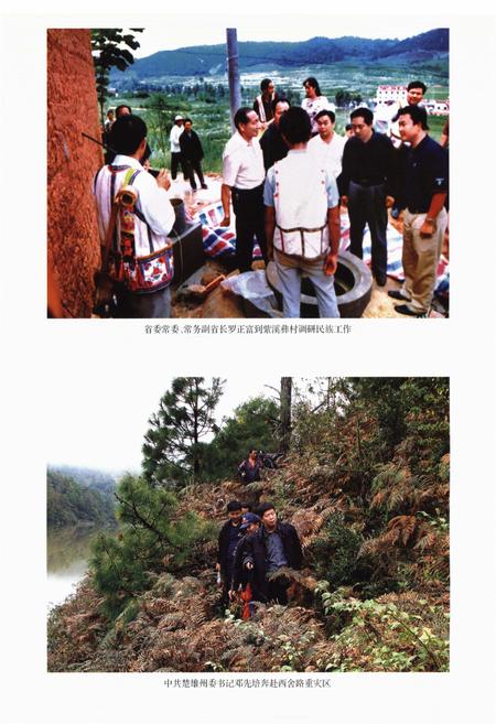 《云南省楚雄市民族志》.pdf_云南省志插图5