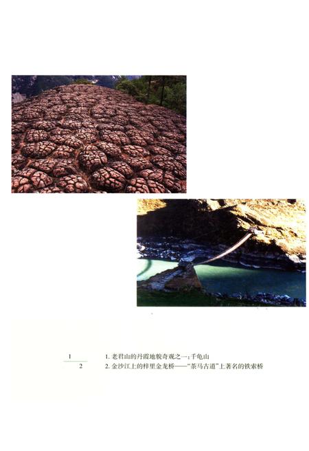 《当代云南纳西族简史》.pdf_云南省志插图5