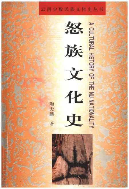 《怒族文化史》.pdf_云南省志