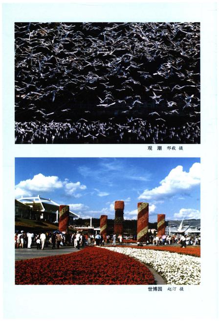 《中国西部概览 云南》.pdf_云南省志插图5