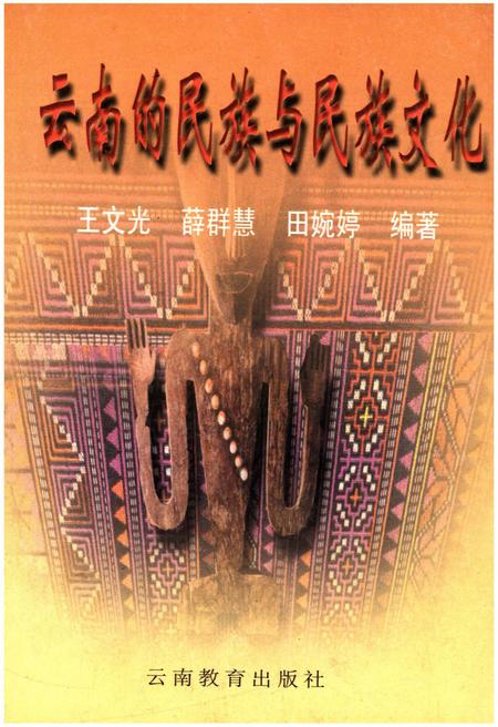 《云南的民族与民族文化》.pdf_云南省志