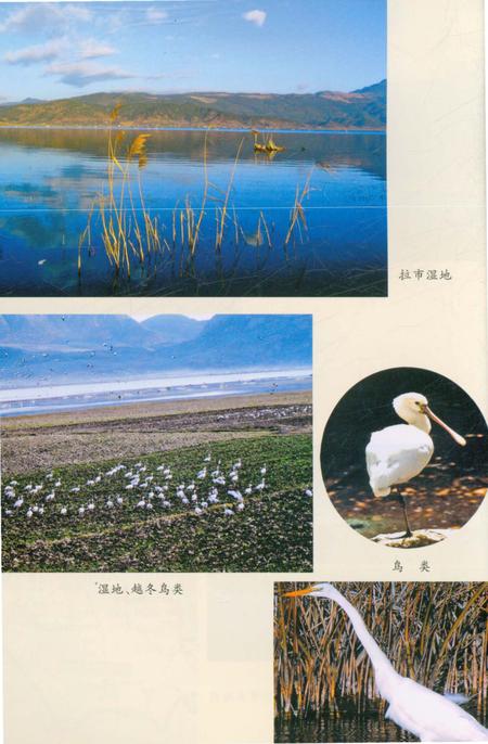 《丽江拉市风物志》.pdf_云南省志插图5