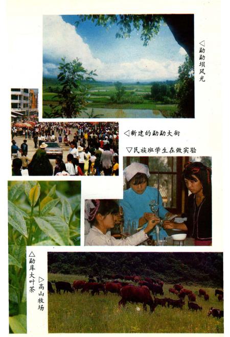 《双江拉祜族佤族布朗族傣族自治县民族志》.pdf_云南省志插图5