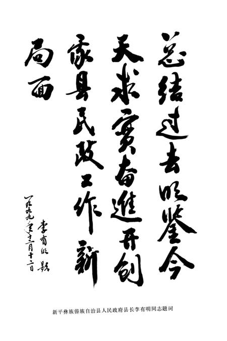 《新平彝族傣族自治县民政志》.pdf_云南省志插图5