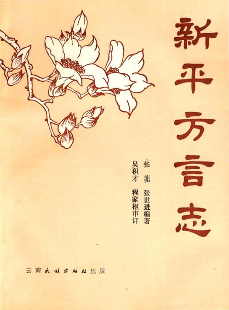 《新平方言志》.pdf_云南省志