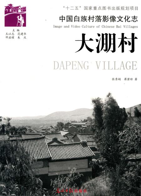 《中国白族村落影像文化志—大淜村》.pdf_云南省志