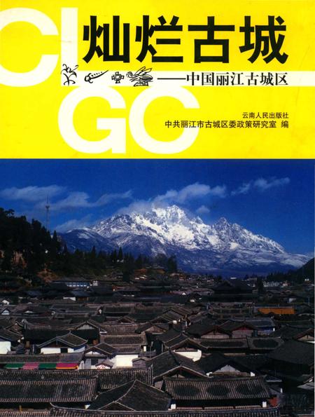 《中国丽江古城区》.pdf_云南省志