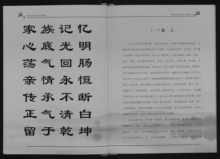 云南曹李氏-曹李氏族谱.pdf电子版插图2