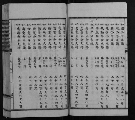云南董氏-腾龙梁董氏族谱 [16卷].pdf电子版插图2