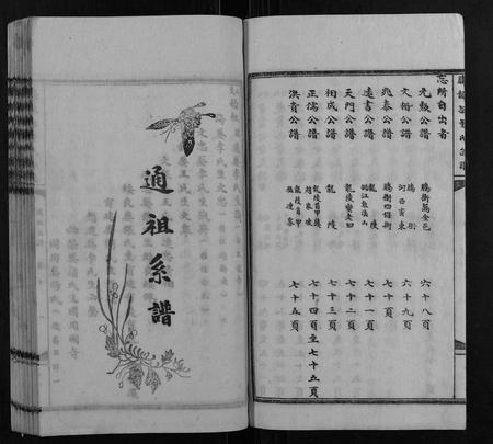 云南董氏-腾龙梁董氏族谱 [16卷].pdf电子版插图3
