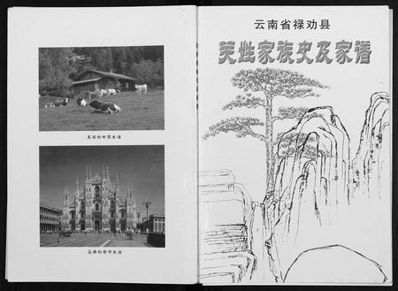云南关氏-云南省禄劝县关姓家族史及家谱 [不分卷](别名：云南省禄劝县关姓家族史及家谱).pdf电子版插图