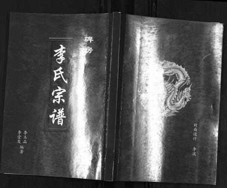 云南李氏-碑房李氏宗谱[不分卷].pdf电子版插图