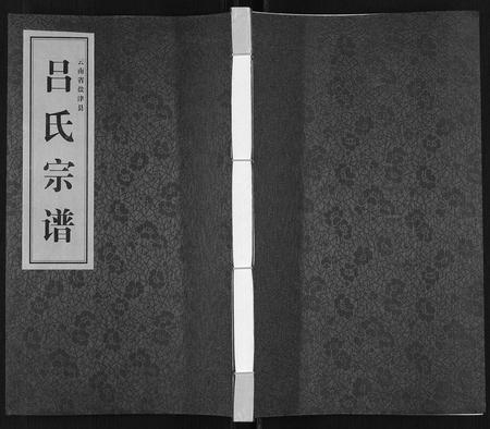 云南吕氏-吕氏宗谱[不分卷].pdf电子版插图