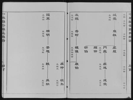 天津孙氏-中华乐安孙氏总谱.pdf电子版插图4