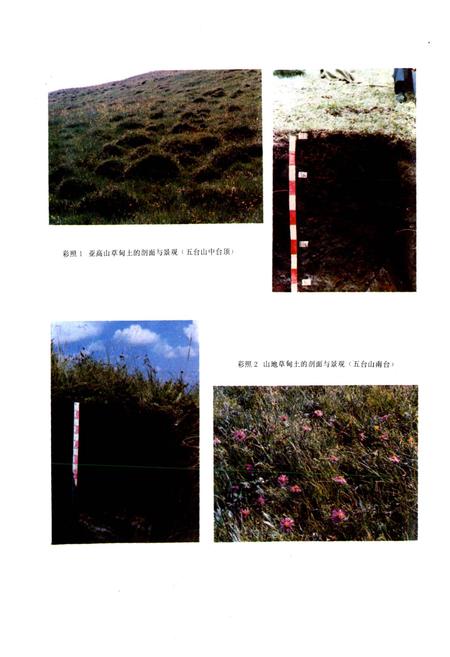 《山西土壤》.pdf_山西省志插图3