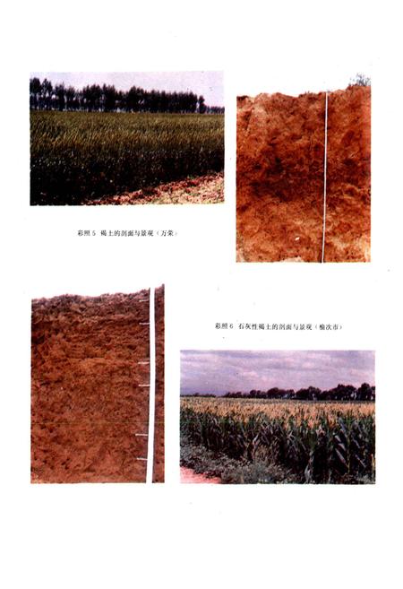 《山西土壤》.pdf_山西省志插图5