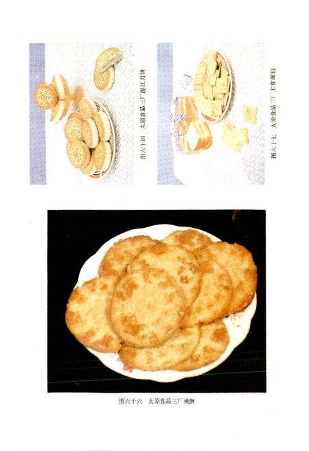 《山西轻工业志》.pdf_山西省志插图4