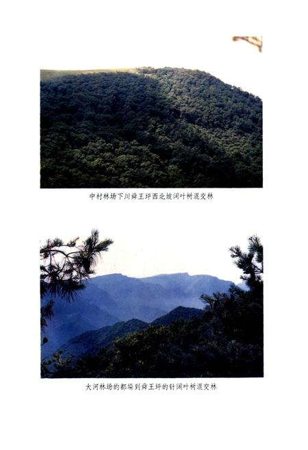 《山西中条山木材志》.pdf_山西省志插图5
