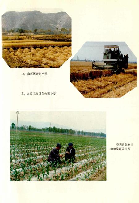 《太原农牧志》.pdf_山西省志插图4