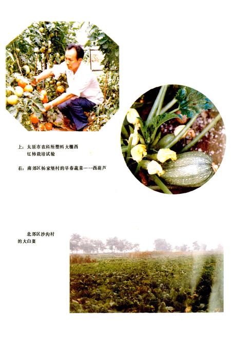 《太原农牧志》.pdf_山西省志插图5