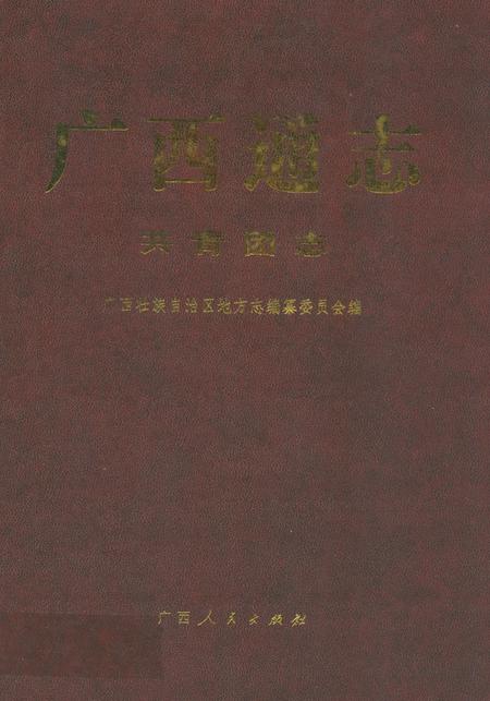 《广西通志·共青团志》.pdf_广西壮族自治区志插图