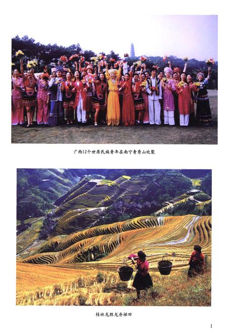 《广西通志·人民生活志(古代-2000)》.pdf_广西壮族自治区志插图5