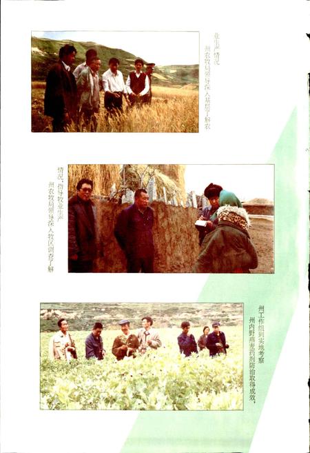 《阿坝州志（中册）》.pdf_四川省志插图3