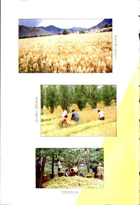《阿坝州志（中册）》.pdf_四川省志插图5