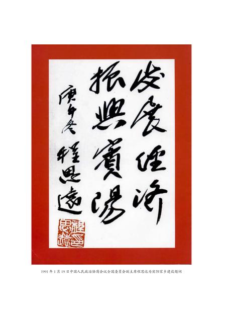 《宾阳县志（1986-2005）》.pdf电子版_广西壮族自治区志插图2