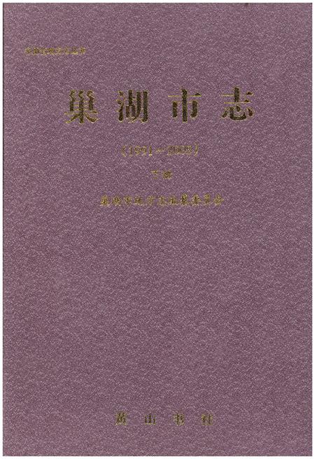 《巢湖市志(1991-2005)下册》.pdf电子版_安徽省志插图