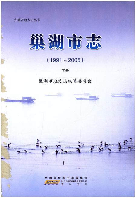 《巢湖市志(1991-2005)下册》.pdf电子版_安徽省志插图1