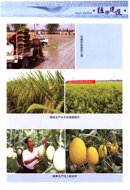 《巢湖市志(1991-2005)下册》.pdf电子版_安徽省志插图2