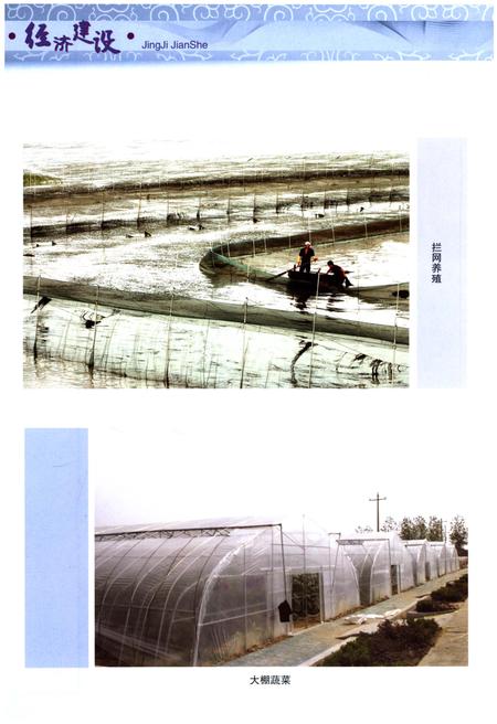 《巢湖市志(1991-2005)下册》.pdf电子版_安徽省志插图3