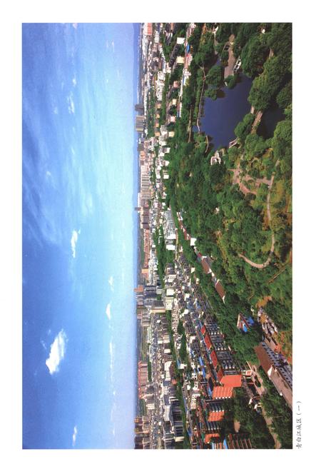 《成都市青白江区志(1991-2005)》.pdf电子版_四川省志插图3