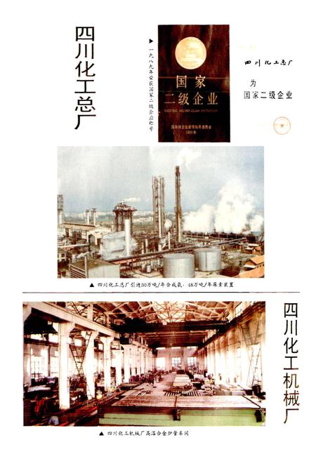 《成都市志 化学工业志》.pdf电子版_四川省志插图4